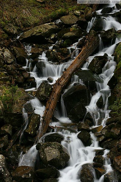 Carpathian NNP. Slowing the flow of water Ivano-Frankivsk Region Ukraine photos