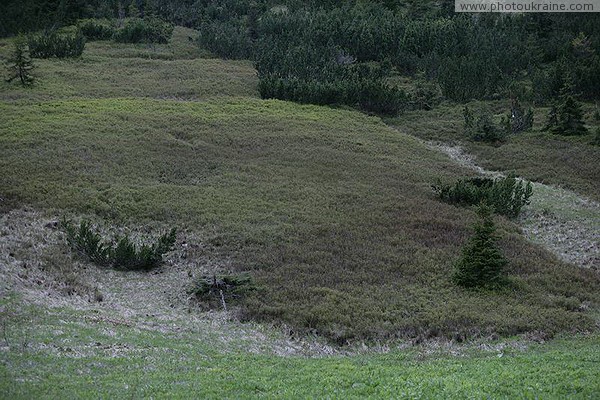 Carpathian NNP. Treeless mountainside Ivano-Frankivsk Region Ukraine photos