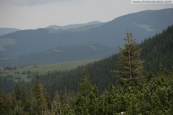 Carpathian NNP. Typical Carpathian landscape Ivano-Frankivsk Region Ukraine photos