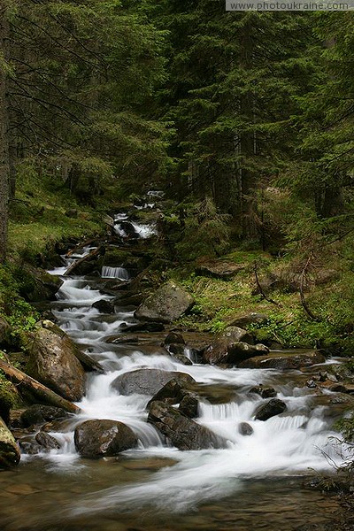 Carpathian NNP. Empty mountain stream Ivano-Frankivsk Region Ukraine photos