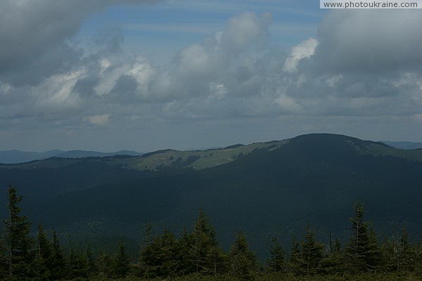 Carpathian NNP. Forest rhapsody of the Carpathian foothills Ivano-Frankivsk Region Ukraine photos