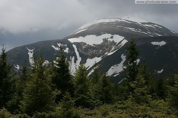 Carpathian NNP. Spotted Treeless Mountain Peaks Ivano-Frankivsk Region Ukraine photos