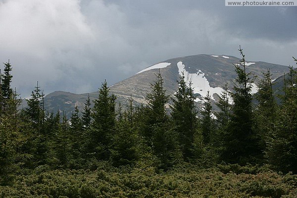 Carpathian NNP. Snow leveling slopes Ivano-Frankivsk Region Ukraine photos