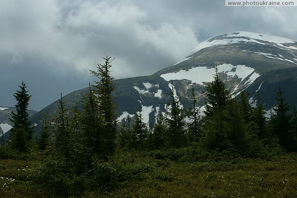 Carpathian NNP. Snow glacier circus Ivano-Frankivsk Region Ukraine photos