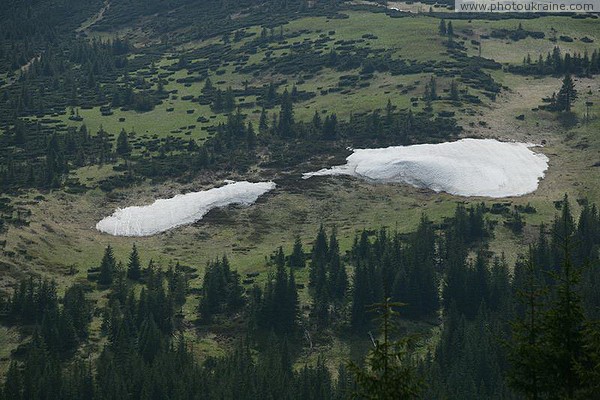 Carpathian NNP. Surviving snowfields Ivano-Frankivsk Region Ukraine photos