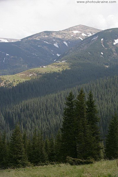 Carpathian NNP. Sample mountain vertical zonality Ivano-Frankivsk Region Ukraine photos