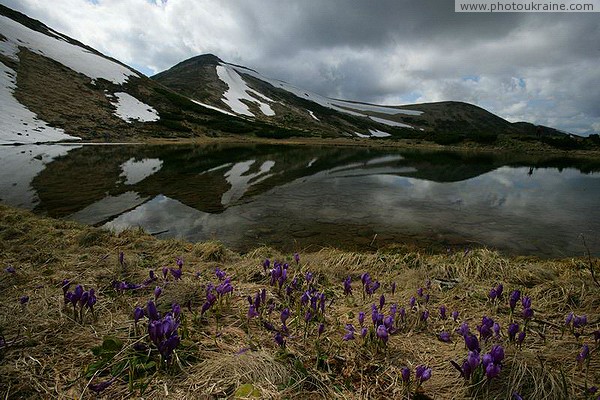Chornohora. Lake Nesamovitoe on the slope of Mount Turkul Ivano-Frankivsk Region Ukraine photos