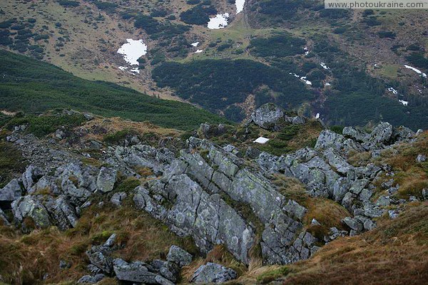 Chornohora. Sandstone protrusions on the slope of Mount Turkul Ivano-Frankivsk Region Ukraine photos