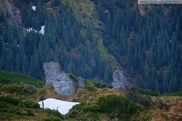 Chornohora. Not removed sandstone teeth array Ivano-Frankivsk Region Ukraine photos