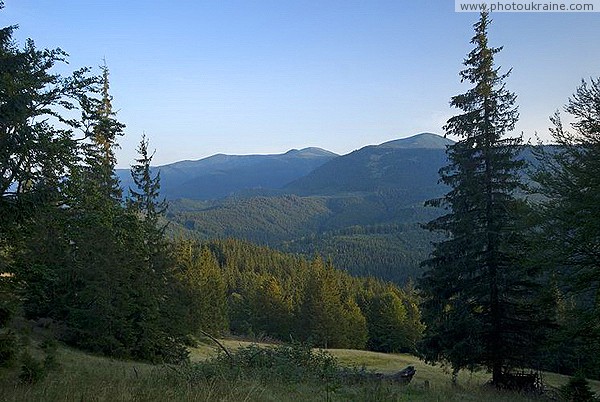 Pre-Carpathians. Mountain meadow in the forest sea Ivano-Frankivsk Region Ukraine photos