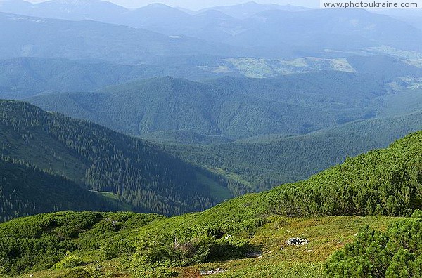 Pre-Carpathians. High forestation of mountain ranges Ivano-Frankivsk Region Ukraine photos