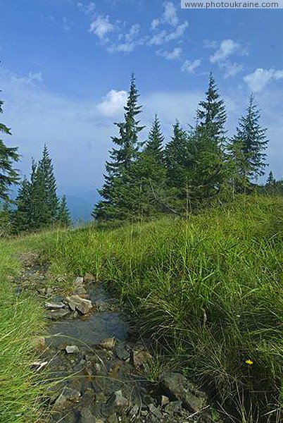 Pre-Carpathians. So begin mountain streams and rivers. Ivano-Frankivsk Region Ukraine photos