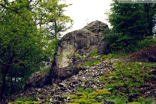 Pistyn. Exposure of limestones of the Stryi Formation Ivano-Frankivsk Region Ukraine photos