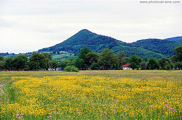 Пистынь. Гора Пистынка Ивано-Франковская область Фото Украины