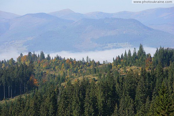 Yablunytskyi pass. Blurred Black Tisza Valley Ivano-Frankivsk Region Ukraine photos