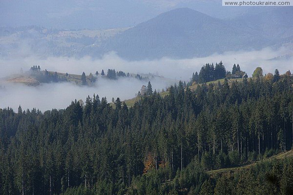 Yablunytskyi pass. Thick fog in the valley of the Mountain Tisza Ivano-Frankivsk Region Ukraine photos
