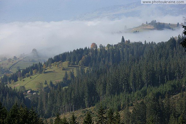 Yablunytskyi pass. Rising Mist Ivano-Frankivsk Region Ukraine photos