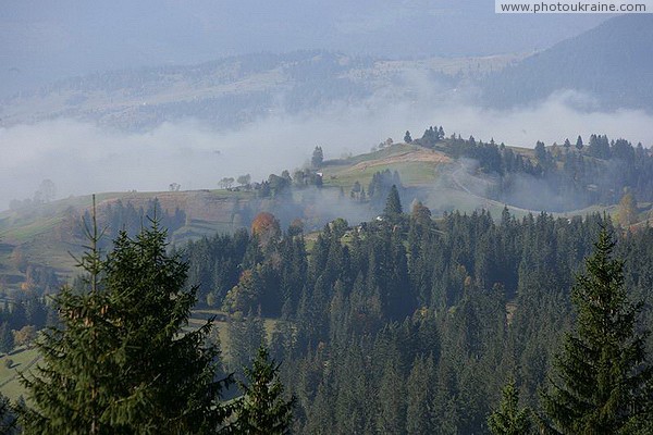 Яблуницкий перевал. Клочья долинного тумана на холмах Ивано-Франковская область Фото Украины