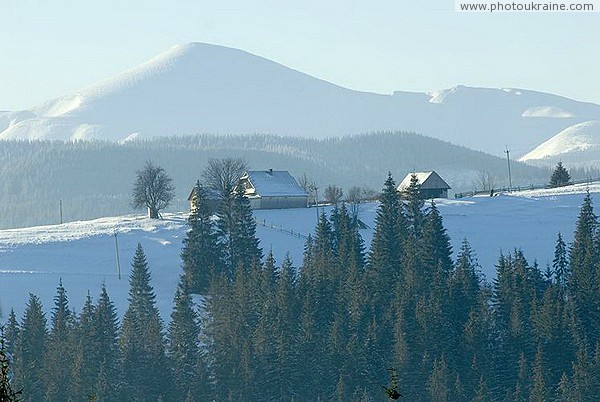 Yablunytsia. Untouched snow goverla Ivano-Frankivsk Region Ukraine photos