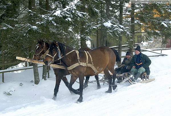 Yablunytsia. In the village on the most passable transport Ivano-Frankivsk Region Ukraine photos