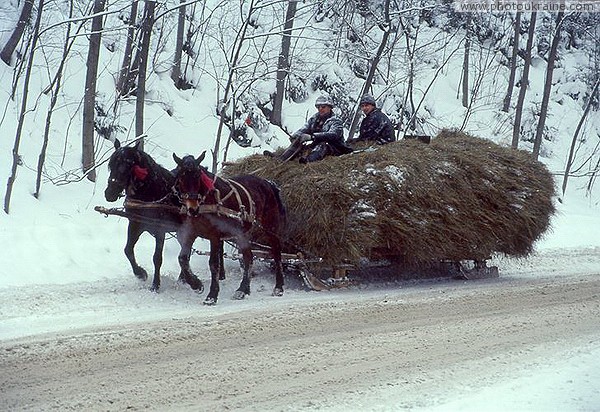 Yaremche. The most reliable form of transport Ivano-Frankivsk Region Ukraine photos