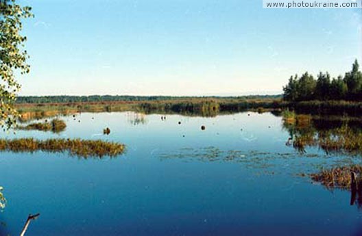 Rivne Reserve Rivne Region Ukraine photos