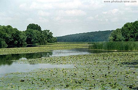 Slych Khmelnytskyi Region Ukraine photos