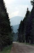 To Hoverla, Ivano-Frankivsk Region, Roads 