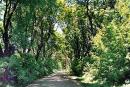 Small town Pidvolochysk, Ternopil Region, Roads 