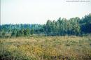 Rivne Reserve, Rivne Region, National Natural Parks 