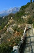 Gaspra. Haraksky Park, Autonomous Republic of Crimea, Country Estates 