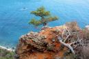 Nature Reserve Cape Martyan, Autonomous Republic of Crimea, Natural Reserves 