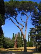 In Massandra Park, Autonomous Republic of Crimea, Country Estates 