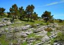 Yalta Reserve. Slopes Ay-Petri yayla, Autonomous Republic of Crimea, Natural Reserves 