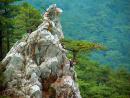 Yalta Reserve. Picturesque cliff, Autonomous Republic of Crimea, Natural Reserves 