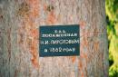 Вінниця. Табличка на ялині, посадженої М. Пироговим, Вінницька область, Музеї 