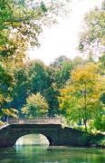 Brailiv. Stone bridge in manor park, Vinnytsia Region, Museums 