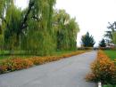 Voronovitsa. In park of manor Groholskih, Vinnytsia Region, Country Estates 