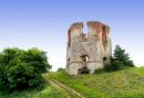 Селище. Руины башни-замка Щеневских, Винницкая область, Крепости и замки 