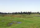 Stara Pryluka. Water meadows, which gave name of village, Vinnytsia Region, Country Estates 