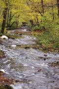 Busha. River Bushanka in Gaydamak Yar, Vinnytsia Region, Rivers 