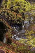 Busha. Rock on Bushanka in Gaydamak Yar, Vinnytsia Region, Rivers 