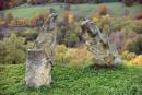 Busha. Sculpture of gate ruins, Vinnytsia Region, Museums 