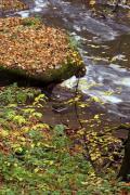 Busha. Sandstone block in line Bushanki, Vinnytsia Region, Rivers 