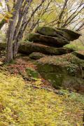 Busha. Sandstone cliff in Gaydamak Yar, Vinnytsia Region, Geological sightseeing 