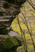 Busha. Grin of sandstone in Gaydamak Yar, Vinnytsia Region, Geological sightseeing 