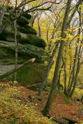 Busha. Green blanket sandstone cliffs Gaydamak Yar, Vinnytsia Region, Geological sightseeing 