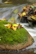 Busha. In life-giving stream boulder Bushanki, Vinnytsia Region, Rivers 