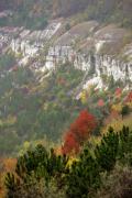 Oksanivka. Mesozoic limestone of Dniester, Vinnytsia Region, Geological sightseeing 