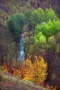 Stina. Autumn track Rusava, Vinnytsia Region, Rivers 